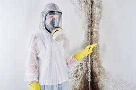 Best Black Mold Removal  in Cornwall, PA